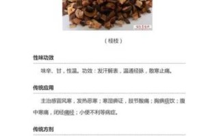 山桂的功效与作用及食用方法 山桂的功效主治归经