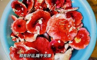 红菌豆腐的菌是什么菌（红菌豆腐的作用与功效）