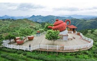 大田高山茶属于什么茶（大田高山茶风景区位置）