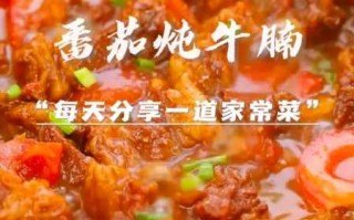 牛腩的做法(牛腩的做法大全家常)