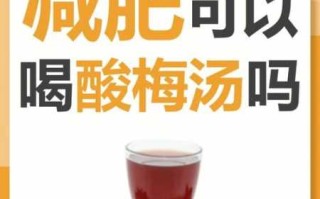 酸梅汤上火还是降火 酸梅汤减肥还是增肥