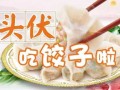 入伏吃饺子(入伏吃饺子还是面)