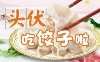 入伏吃饺子(入伏吃饺子还是面)