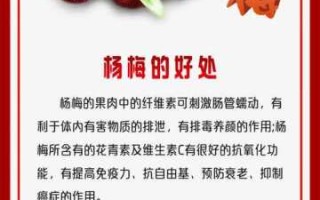 冰杨梅的功效与作用 冰杨梅百科