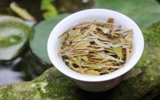 福鼎白茶和绿茶哪个好（福鼎白茶 绿茶）