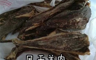 羊肉干的功效与作用 羊肉干吧