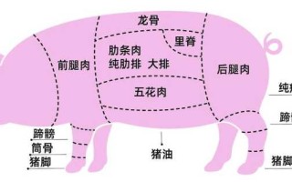 里脊肉是什么肉（带膘里脊肉是什么肉）