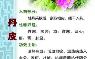 山丹皮的功效与作用 山丹的功效与禁忌