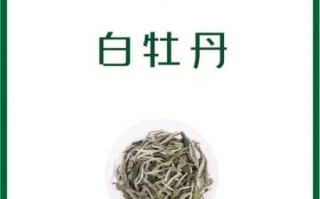 福鼎白茶饼属于什么茶（福鼎白茶的功效与作用）