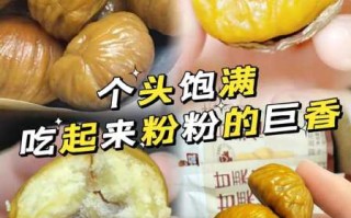 甘栗仁和板栗的区别 甘栗仁和板栗的区别在哪里