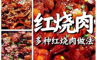 红烧肉的做法步骤详解（红烧肉的做法步骤详解文字图片）