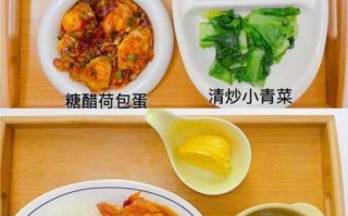 儿童营养餐食谱大全（儿童营养餐做法大全）