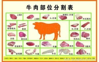 牛肉火锅牛肉部位（牛肉火锅牛肉部位好吃）