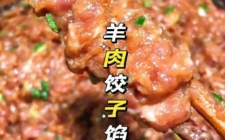 羊肉饺子馅做法大全（羊肉饺子馅做法大全图解）