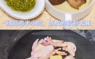 乳鸽绿豆汤(乳鸽绿豆汤的做法与功效窍门)