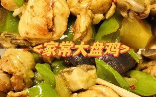 鸡肉的做法大全（鸡肉的做法大全家常最简单）