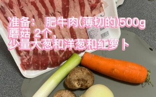 韩国烤肉做法(韩国烤肉做法视频)