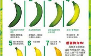 天宝香蕉和米蕉对比（天宝香蕉为什么那么便宜）