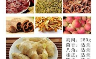 卤狗肉的配方和做法（红烧狗肉三放三不放什么东西）