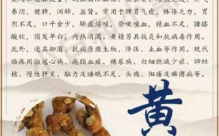 黄枝干有什么功效（黄枝根的作用）