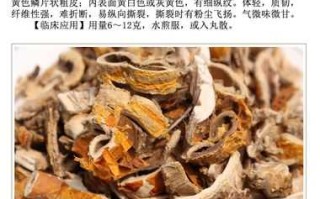 桑葚树皮有什么功能作用 桑葚皮的功效与作用及食用方法