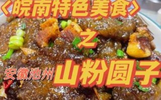 山粉条烧肉的做法（山粉烧肉的做法大全）