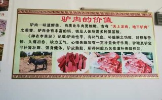 驴肉的功效与作用 驴肉的功效与作用上火吗