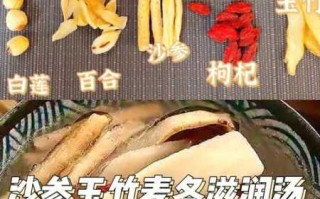 沙虫萝卜汤功效与作用（沙虫萝卜汤功效与作用禁忌）