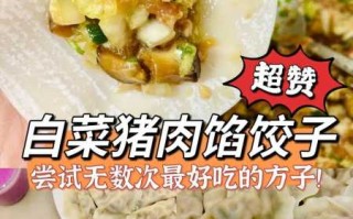 猪肉白菜饺子馅做法（猪肉白菜饺子馅做法视频）