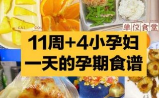 孕妇食谱做法大全（孕妇食谱大全及做法视频）