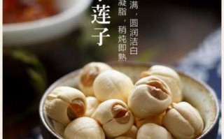 建莲是什么（建莲什么牌子好）