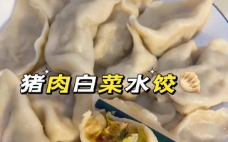 猪肉白菜饺子(猪肉白菜饺子馅怎么调好吃视频)