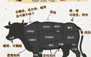 牛腱子肉的做法（牛腱子肉的做法步骤）