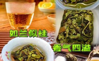 漳平水仙茶属于什么茶（漳平水仙茶属于什么茶什么茶树品种）