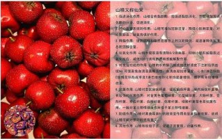 山桂的功效与作用及食用方法（山桂山的功效）