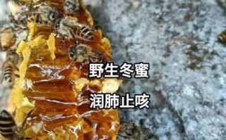 纯冬蜜有养胃的作用吗（纯冬蜜有养胃的作用吗能吃吗）