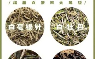 福鼎白茶好还是绿茶好（福鼎白茶和绿茶的营养成分对比）