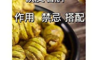 延寿膏的功效（延寿膏功效作用与禁忌症）