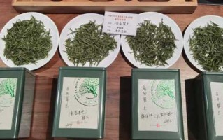 岳西翠兰茶的功效与作用（岳西翠兰是十大名茶吗）