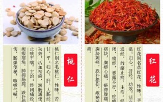 小桃仁的功效与作用 小桃子功效