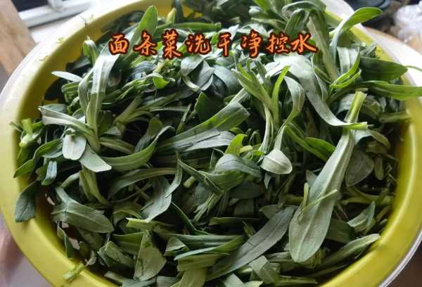 面条菜图片(河南面条菜图片)