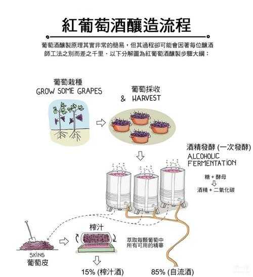 红葡萄酒的制作方法（红葡萄酒的制作方法 紧记五步了解红葡萄酒如何酿制）