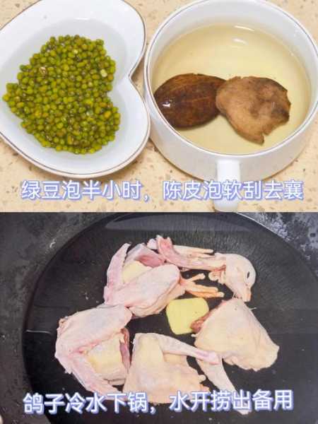 乳鸽绿豆汤(乳鸽绿豆汤的做法与功效窍门)