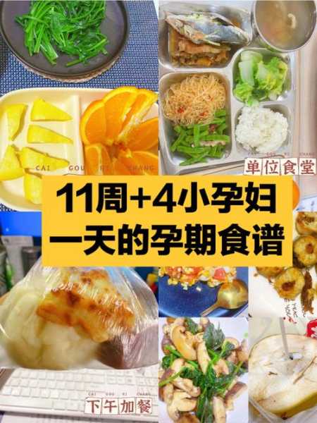 孕妇食谱做法大全（孕妇食谱大全及做法视频）