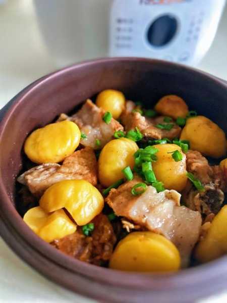 电炖锅食谱(电炖锅食谱大全及做法烧排骨嘛)