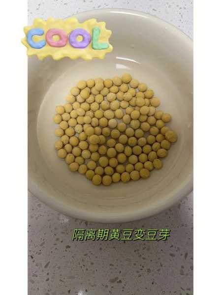 黄豆芽怎么发(黄豆芽怎么发豆芽的步骤日记)