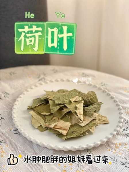 荷叶茶的做法(荷叶茶的做法大全)