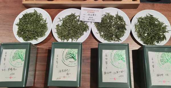 岳西翠兰茶的功效与作用（岳西翠兰是十大名茶吗）