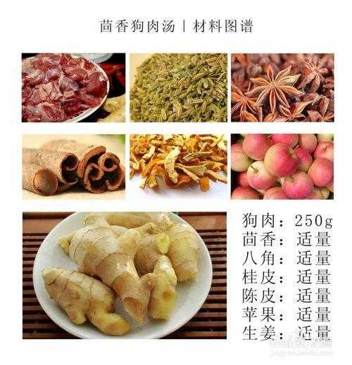 卤狗肉的配方和做法（红烧狗肉三放三不放什么东西）