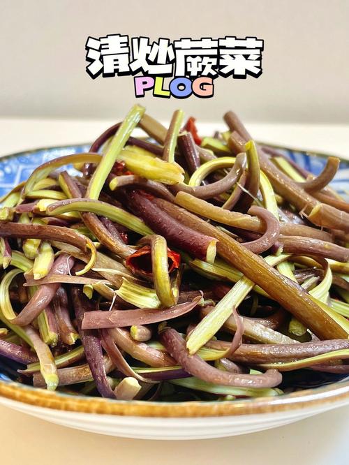 蕨菜怎么做好吃（蕨菜怎么做好吃家常做法）